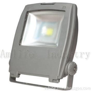 High Power  Flood Light of COB 10W